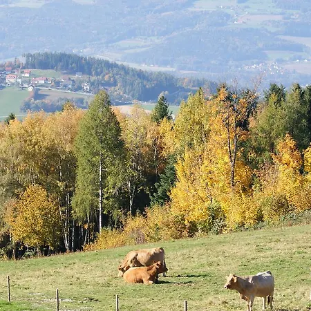 Feriendorf-poellauberg Апартаменты Pollauberg